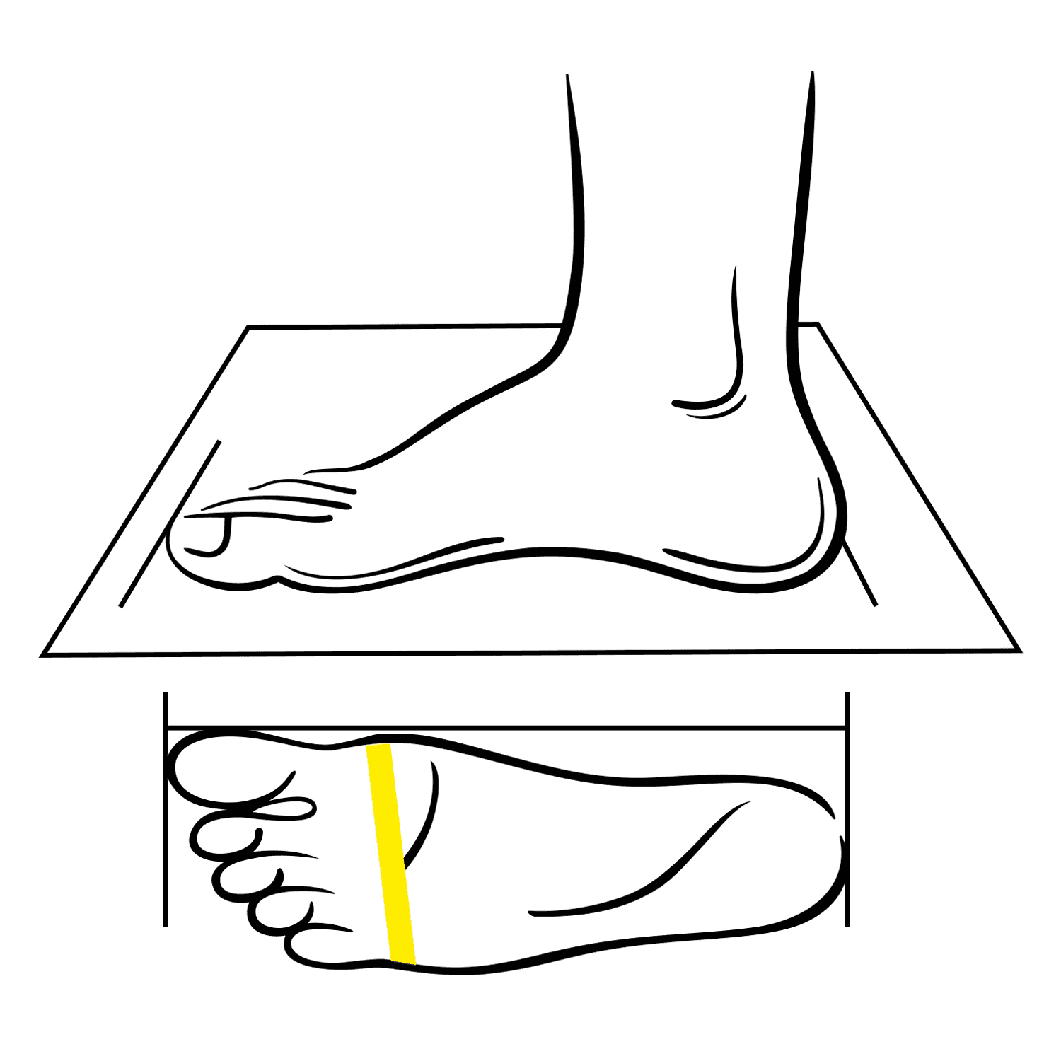 Нога на листе для измерения