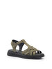 зеленая ель